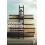 Cultural Evolution by Kevin McCaffree Paperback Book 1