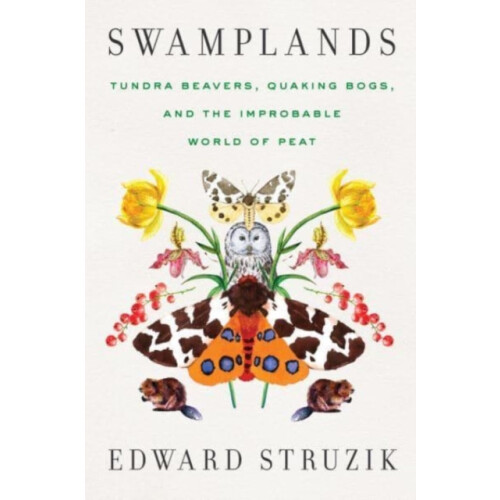 Swamplands by Edward Struzik Hardcover Book