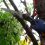Wilkinson Sword Wilkinson Sword Folding Saw & Pruner Set 1111295WG 4