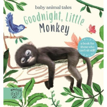 Goodnight Little Monkey by Amanda Wood Other Book