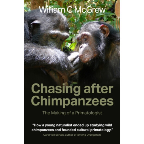 Chasing after Chimpanzees by William C McGrew Paperback Book