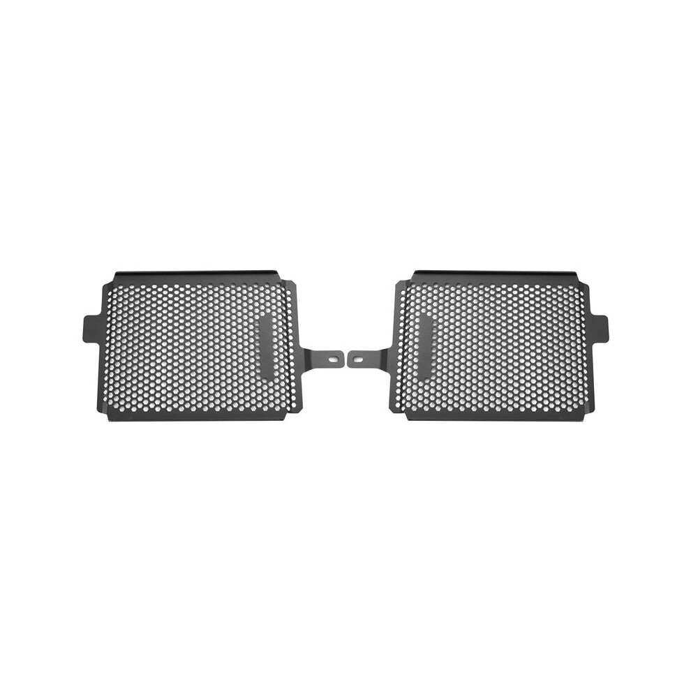 Motorcycle Radiator Grille Guard Water Tank Cover Protector For R1250gs Adv R1200gs Adv 2019-2021 4713493850361