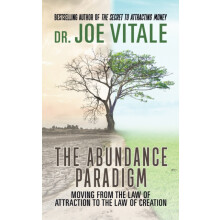 The Abundance Paradigm by Joe Vitale Paperback Book