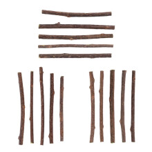 15Pcs Natural Silvervine Sticks for Catnip Sticks Matatabi Chew Sticks Teeth Molar Chew Toys for Cat Teeth Cleaning