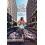 She Rose by Rece Wilson Paperback Book 1