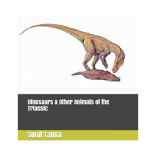 Dinosaurs amp Other Animals of the Triassic by Sunil Tanna Paperback B
