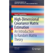 HighDimensional Covariance Matrix Estimation by Aygul Zagidullina Pape