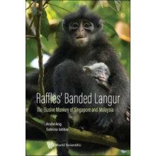 Raffles Banded Langur The Elusive Monkey Of Singapore And Malaysia by