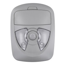 Für SAIC W5 Auto-Leselampe, Innendeckenleuchte, Deckenleuchte, Obere Konsolenbaugruppe, Brillenbox 10065213-ASA