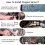 Car Oxygen Sensor Air Fuel Ratio Downstream O2 Sensor Replacement 96419957 for  Aveo 1.2L 2007 5