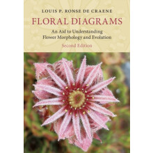Floral Diagrams by Louis P. Royal Botanic Garden Edinburgh Ronse De Cr