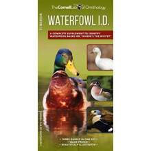 Waterfowl Id Set by Kevin J McGowan Other Book