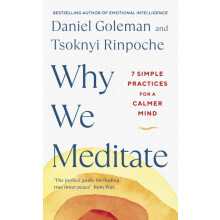 Why We Meditate by Tsoknyi Rinpoche Hardcover Book