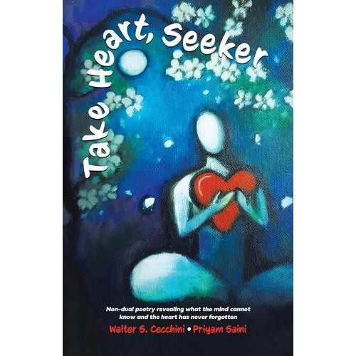 Take Heart Seeker by Walter S Cecchini Paperback Book