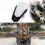 Motorcycle Windshield Deflector Shield Screen Accessories for  NMAX155 NMAX125 2016-2018 3