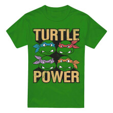 (XXL, Kelly Green) Teenage Mutant Ninja Turtles Mens Turtle Power T-Shirt