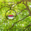 Circular Metal Hummingbird Feeder 5