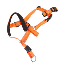 Hundekopfhalsband, atmungsaktives