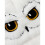 Harry Potter Harry Potter Childrens/Kids Hedwig Bucket Hat 5
