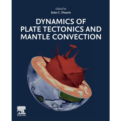 Dynamics of Plate Tectonics and Mantle Convection Paperback Book