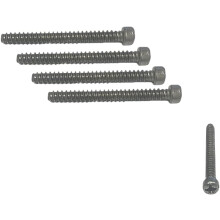 Pack of 4 Adjustable Screen Door Screws for Replacement, Universal Fit, Easy Install, Durable