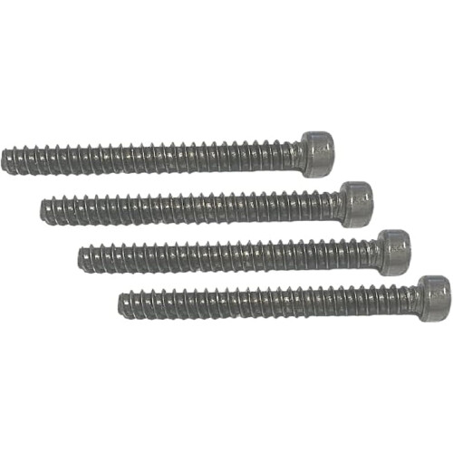 Pack of 4 Adjustable Screen Door Screws for Replacement, Universal Fit, Easy Install, Durable 1