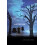 Visitation by Jennifer DeClue Paperback Book 1