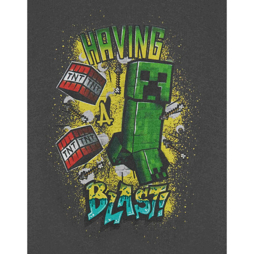 Minecraft (7-8 Years, Grey) Minecraft Boys Having A Blast Sweatshirt 2