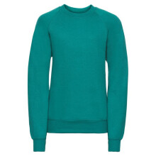(12 Years, Winter Emerald) Jerzees Schoolgear Childrens/Kids Raglan Sweatshirt