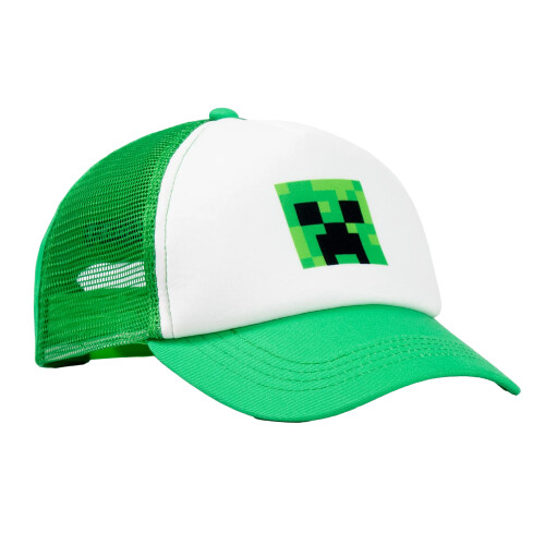Minecraft Minecraft Boys Creeper Curved Peak Snapback Cap