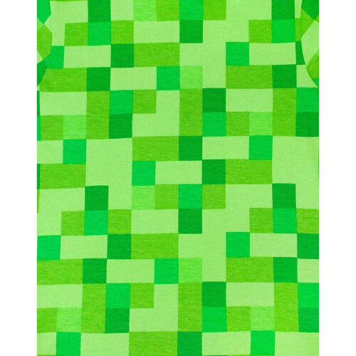 Minecraft Minecraft Boys All Over Creeper T-Shirt 1