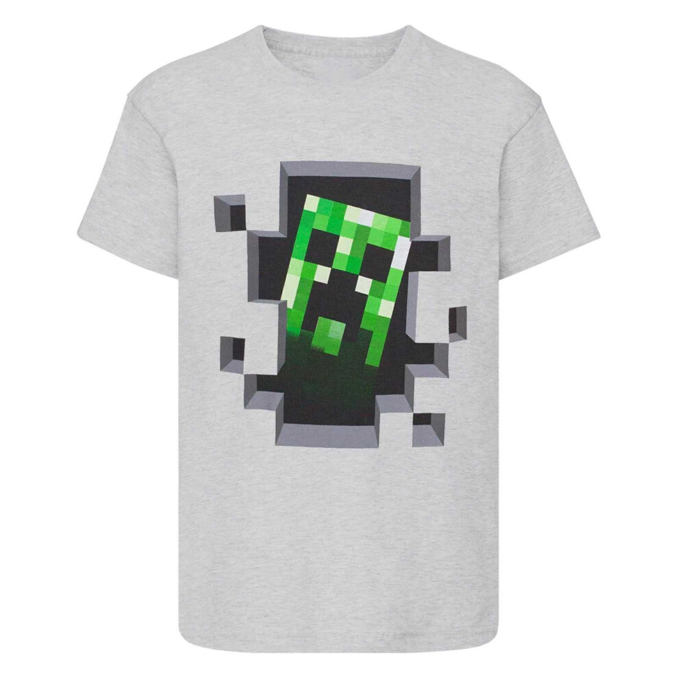 Minecraft Childrens/Kids Creeper T-Shirt Grey