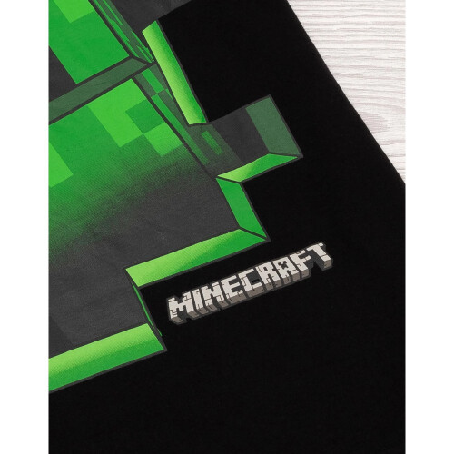 Minecraft Minecraft Childrens/Kids Creeper Inside T-Shirt 2