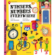 Numbers Numbers Everywhere by Magda Gargulakova Hardcover Book
