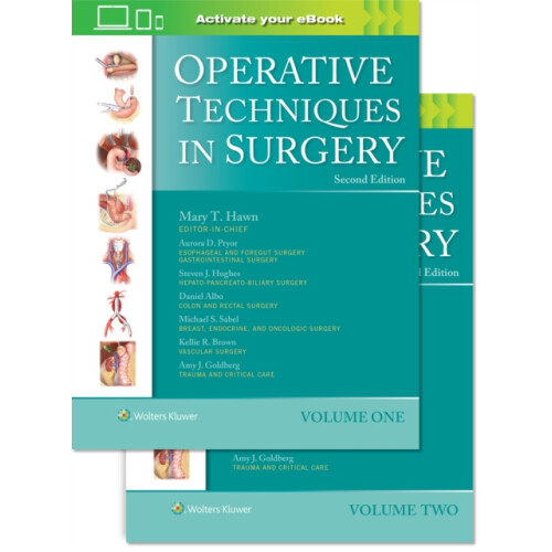 Operative Techniques in Surgery Print book with Multimedia Hardcover B