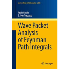 Wave Packet Analysis of Feynman Path Integrals by S. Ivan Trapasso Pap