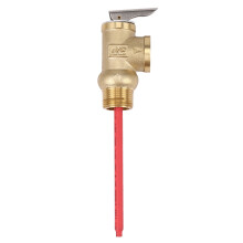 WYA-20 99C 102PSI 210F WYA-20 0.7Mpa Naar Klep BSP 3/4 Inch Temperatuur- en Overdrukventiel Als TP-Veiligheidsklep