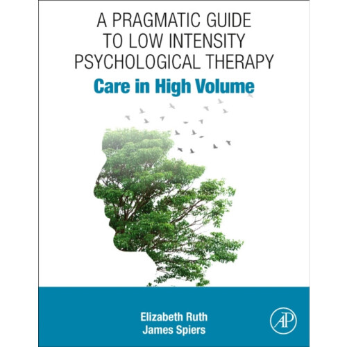 A Pragmatic Guide to Low Intensity Psychological Therapy by Spiers Jam