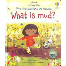 Very First Questions and Answers What is mud by Katie Daynes Other Boo