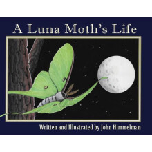 A Luna Moths Life by John Himmelman Paperback Book