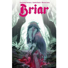 Briar by Christopher Cantwell Paperback Book