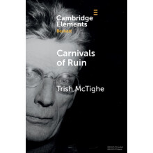Carnivals of Ruin by Trish Queens University Belfast McTighe Paperback
