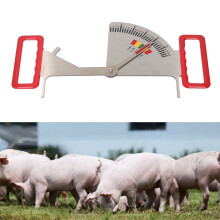Futterlineal Edelstahl Rückfettkaliper 530g
