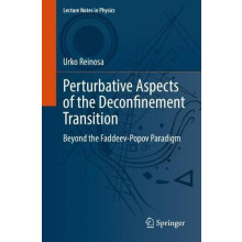 Perturbative Aspects of the Deconfinement Transition by Urko Reinosa P