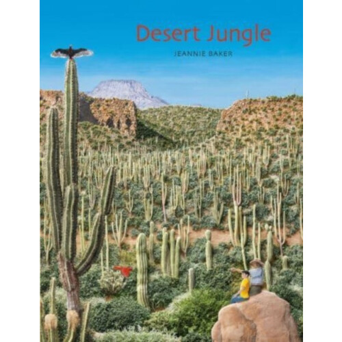 Desert Jungle by Jeannie Baker Hardcover Book