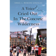 A Voice Cried Out In The Concrete Wilderness by Israel L. Monzon Gonza