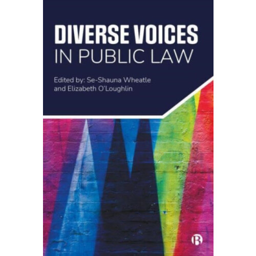 Diverse Voices in Public Law Paperback Book
