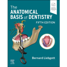 The Anatomical Basis of Dentistry by Liebgott Bernard Professor Emerit