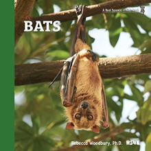 Bats by Rebecca Woodbury Ph.D. M.Ed. Paperback Book