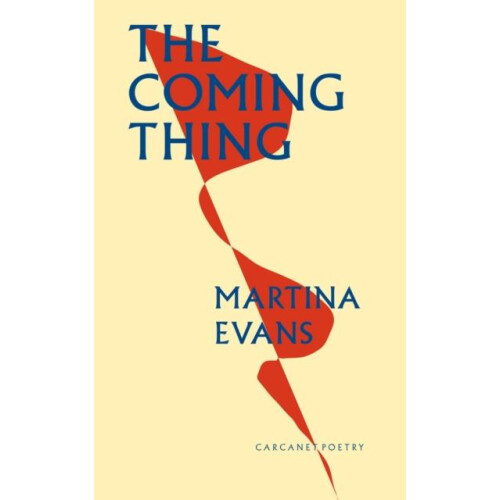 The Coming Thing by Martina Evans Paperback Book